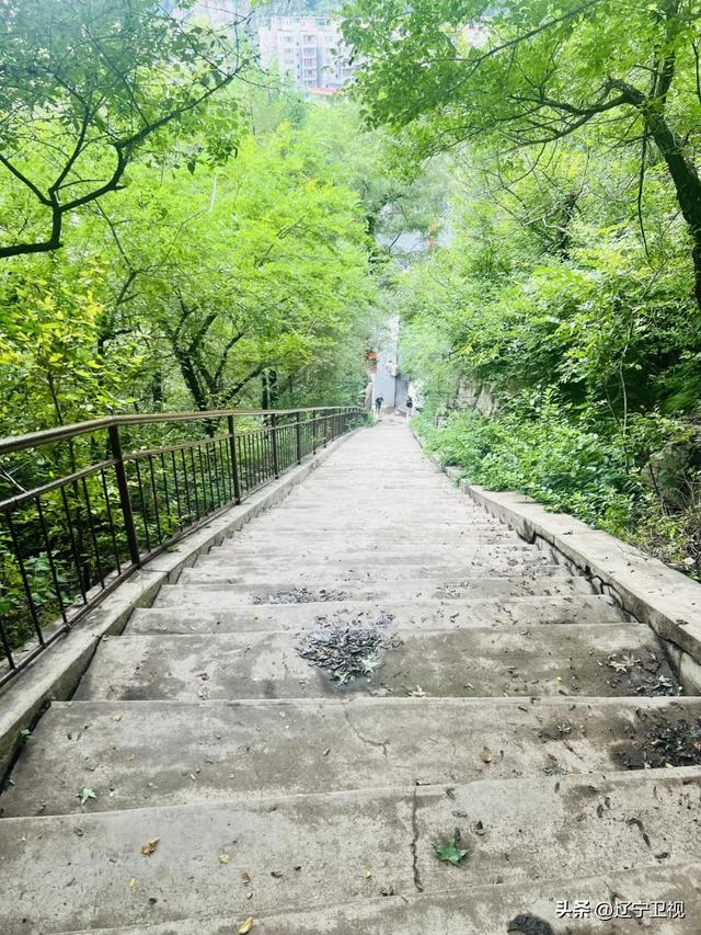 夏日限定！辽宁本溪避暑路线推荐，25℃的清凉可太治愈了~（市内版）