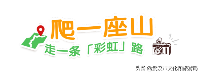 赶紧收藏！森林公园3大玩法新鲜出炉