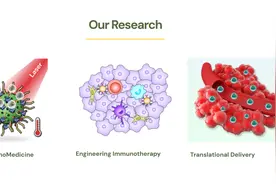 新加坡国立大学药学系招全奖博士–生物材料、纳米疫苗方向图片