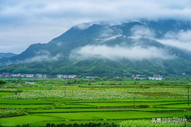 台风来了！本轮降水中心已定，分布以下地区，今日7月18~22号天气