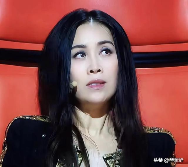 出轨风波真相大白仅2个月，那英近况曝出	，马伊琍一个字都没说错