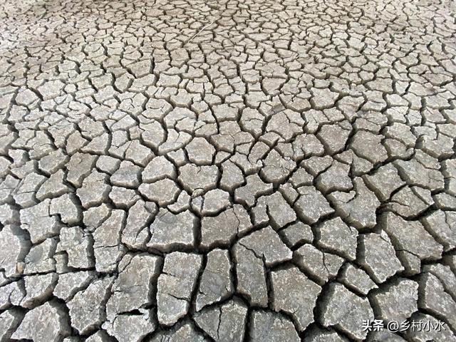 老人说“冬至是晴天，寡妇要发愁”，今日冬至，冬至晴有啥预兆？