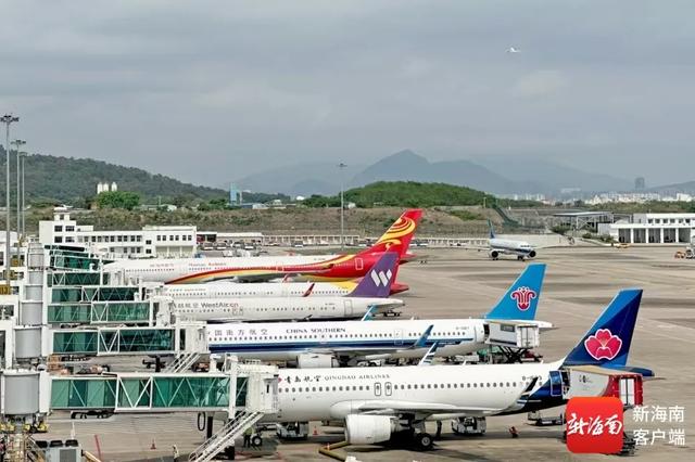 叠加免签红利,海南入境游同比增长31.7%!