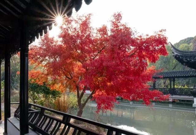 来虎丘山，这里有你更好看！