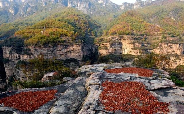 来长治，邂逅太行初冬的斑斓！