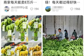 「禁止蕉绿」成年轻人新宠，如何一口一口「吃掉」焦虑？图片