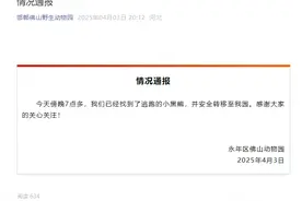 最新！河北邯郸出逃黑熊已找到！图片