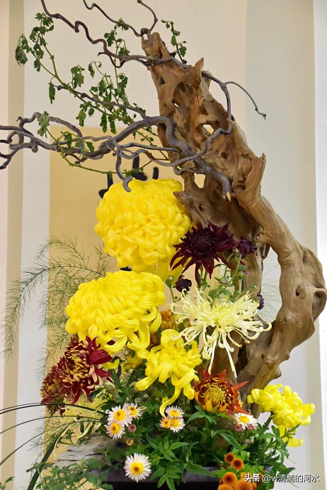 菊花是秋天里绝美的画卷