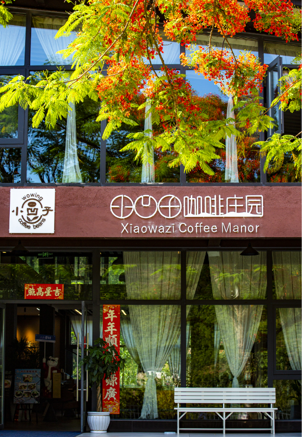 跟着赛事去旅行 | 骑到普洱思茅才知道 茶+咖=我的多巴胺双倍风暴