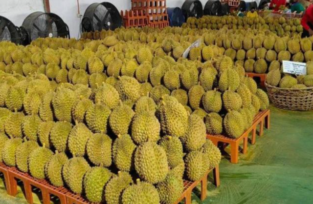 失去中国市场后，大量水果烂地里卖不出去，现在开始后悔得罪中国