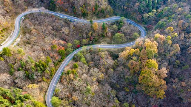 山道弯弯秋色浓