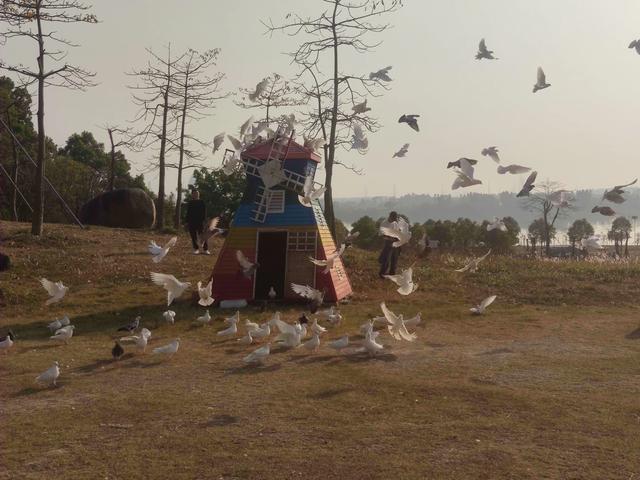 我花 700 多买了一二手「小众手机」,却学会了「放下手机」