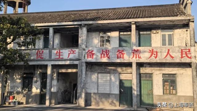 “乡”遇奉贤·四团镇篇丨“品酒+露营”快来解锁近郊旅游新玩法