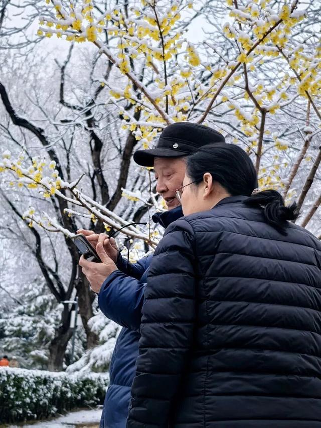 看！这是昌平雪后的美景——