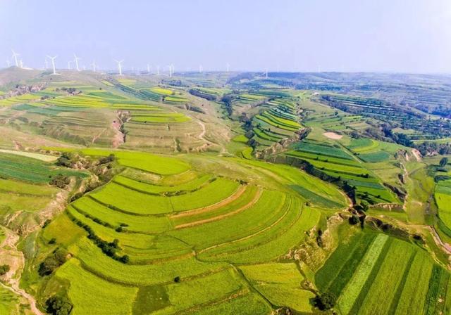 【金戈铁马·长城纪行】平鲁大河堡