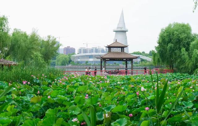 音乐不停、美食不断、水花不歇！来郑州绿博园畅享30天不重样的盛夏奇旅
