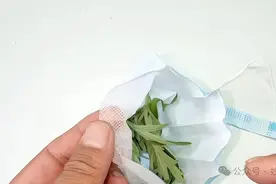 家里有蚊子不要慌，只需一个口罩，家里蚊子越来越少，省钱又实用图片