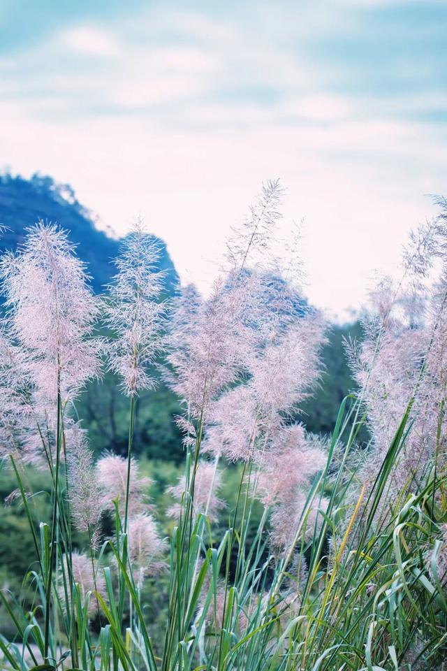 这个冬天，把印象大红袍的「空镜头」，存进你的取景框。