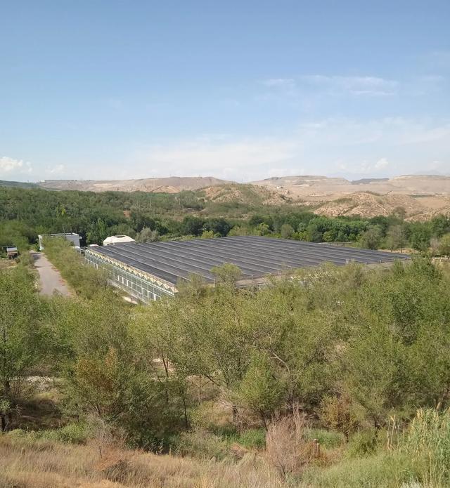 乌市雅山往西去有个水景公园，水面像梯田，还有花卉基地