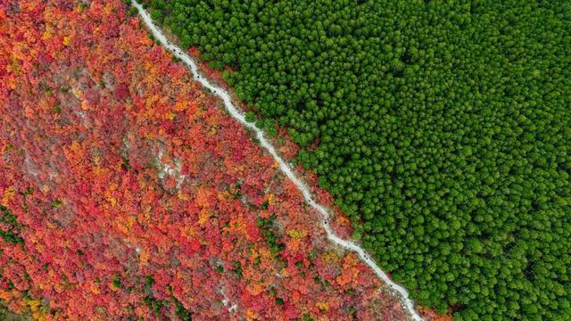 新华社聚焦+国家地理推荐！济南蝎子山“鸳鸯锅”秋景太惊艳了！