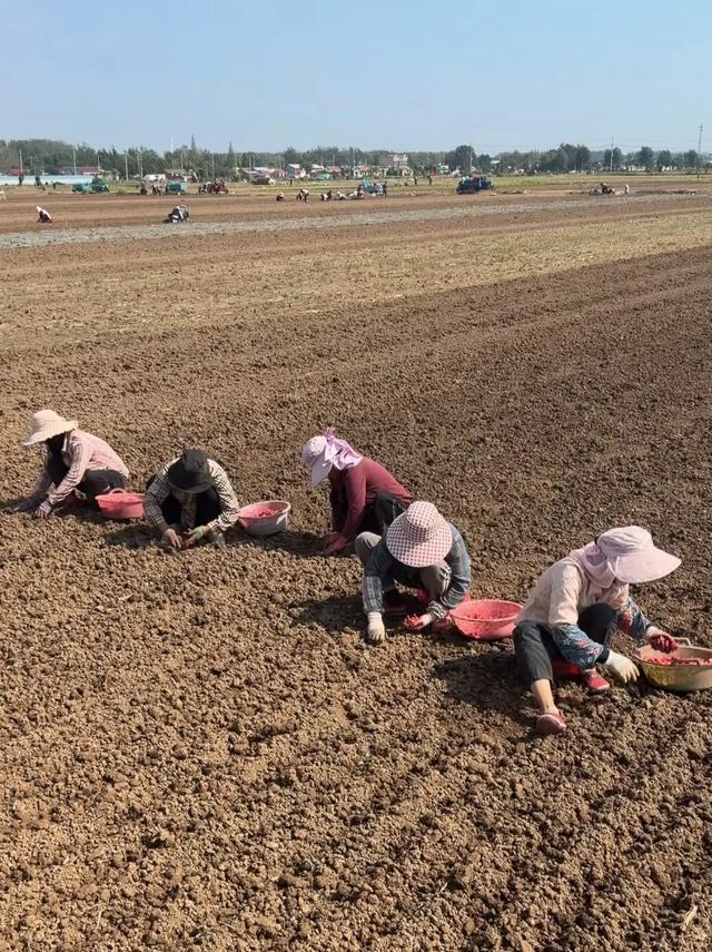 厉害了！江苏这8个“冠军”县，承包了太多世界第一！有你家吗？