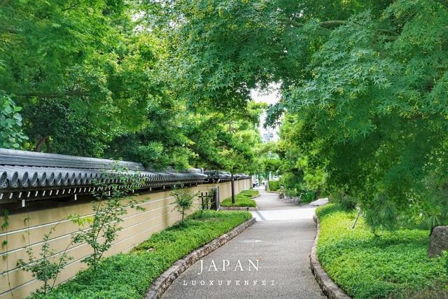 九州之旅从福冈开始!这里不只有拉面,还有精彩的山笠祭!