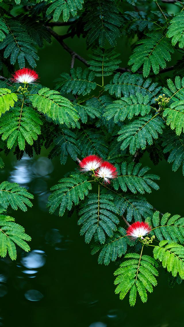 丝丝春意，抹去缕缕寒意，春天美景分享，太治愈了！