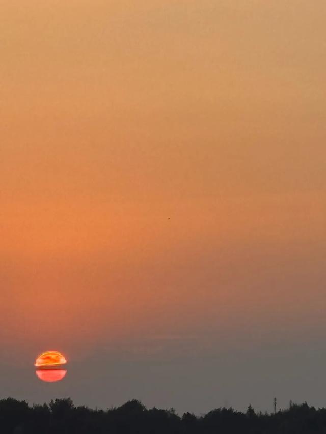 10月，「需要另一个同类」