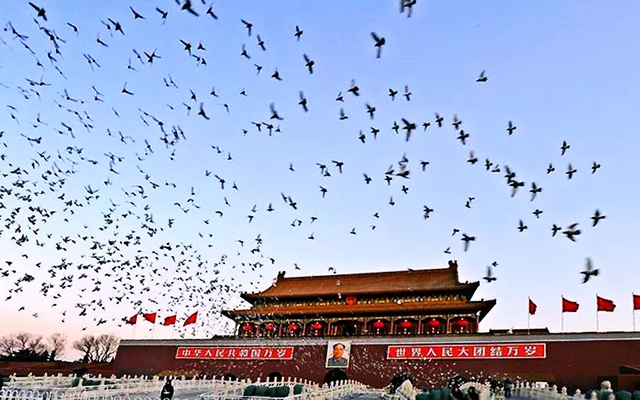 和平已无望？马斯克预言大战时间，美政府已签字：提到台湾省8次