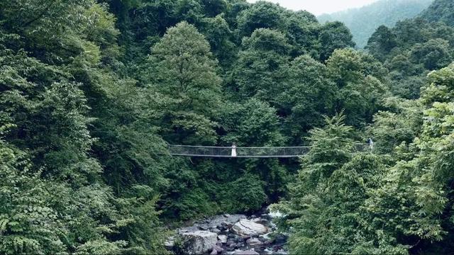 暂别川西！乐山黑竹沟已经美到神仙级！