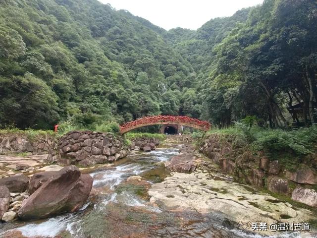 温州这个以畲族始祖命名的4A级景区，秘藏着一座“生物王国”！