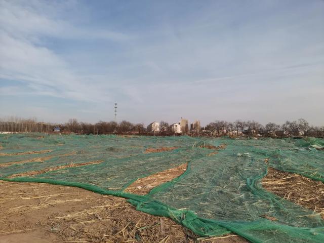 德州城西“花园营地”怎么不见了？