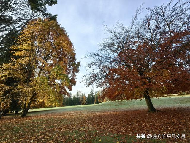 温哥华游记（四）