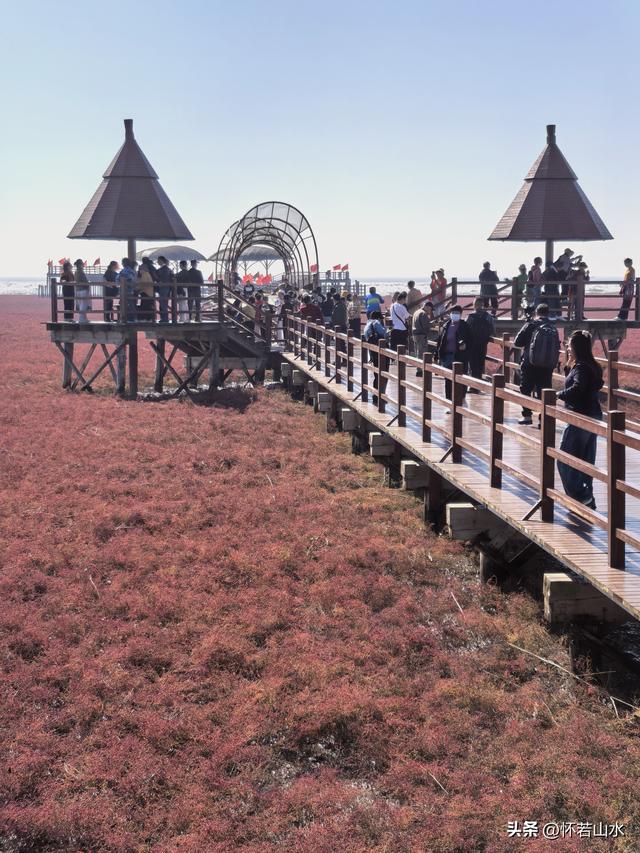 2025辽宁赏秋之旅日记(5)——从本溪前往盘锦 游览红海滩景观