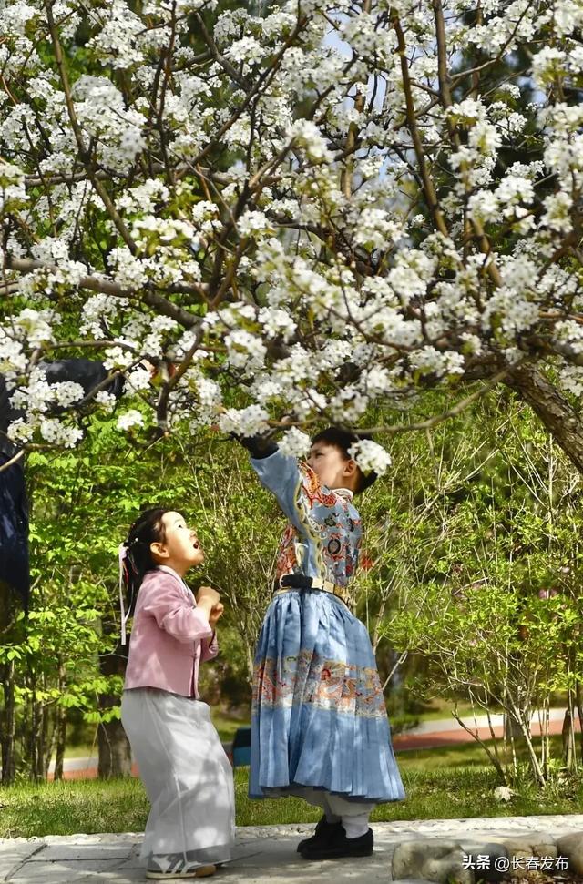 走进长春!150个网红打卡地之梨花园