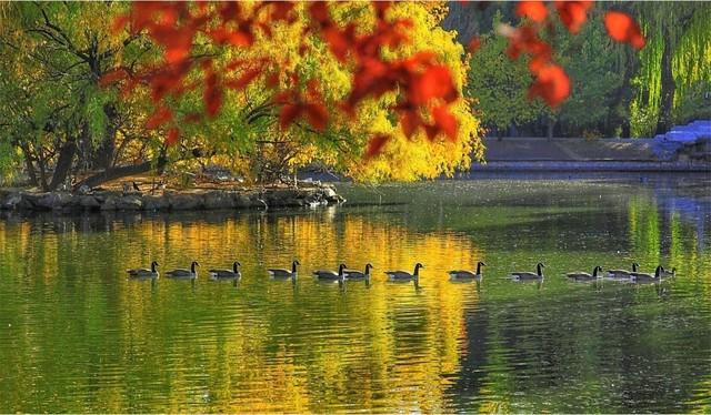 旅游美景怎么看才不踩坑？避开网红滤镜，寻找真正值得去的风景