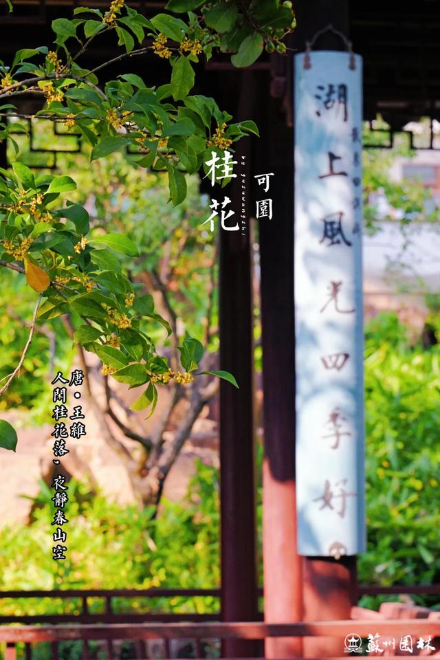 桂香满城！苏州桂花赏花地图来了！