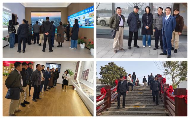 赏上海・游金泽