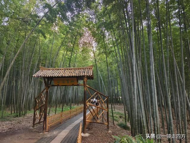 苏州虎丘打造夜游庙会迎双节，闭园时间延长到晚上九点