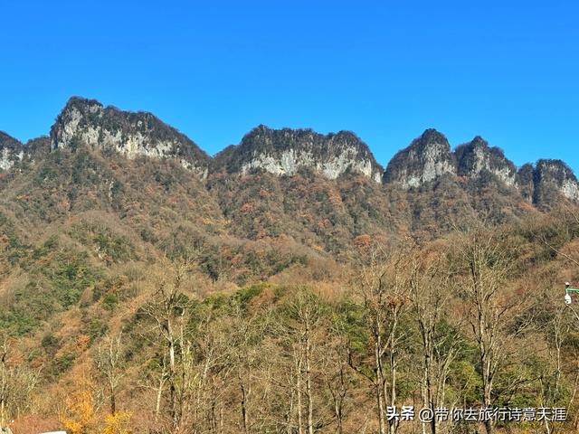 光雾山秋色斑斓，迎来23届光雾山国际红叶节