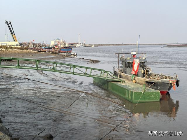 2025辽宁赏秋之旅日记(6)——到辽河口中国最北海岸线看日出 观鸟