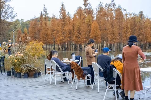 地铁直达！免费！成都20个绝美赏秋地，银杏水杉梧桐红枫限时上演！就在家门口！