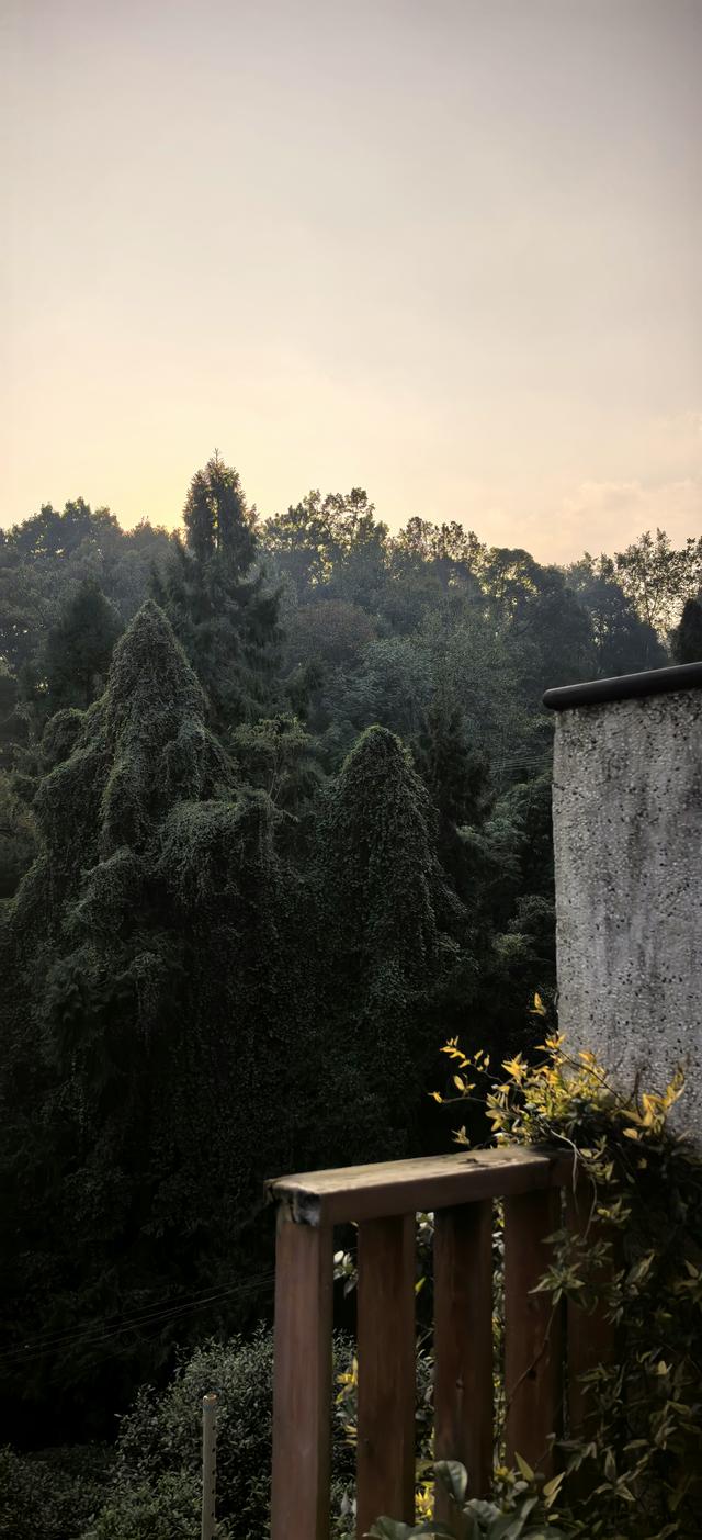 花楸山冬季物语