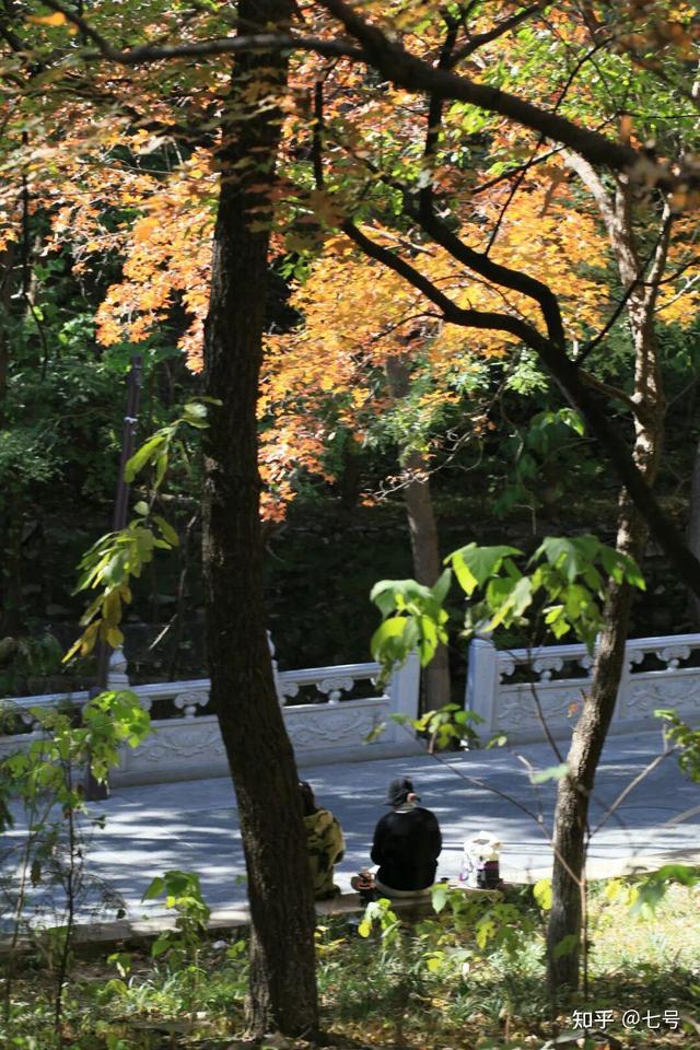 在八大处，寻到了北京最美的秋