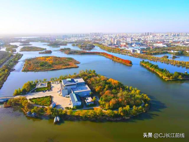 河南淮滨：湖畔杉红景美人更美