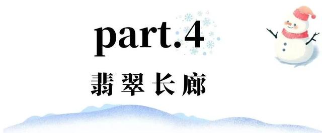 冬日竹海，限时特惠！淡季门票+超值年卡，承包一整年的美景