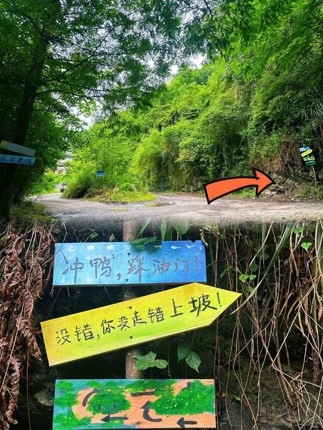 快收藏!新发现的耍水徒步地,成都1h直达,清凉人少且免费!