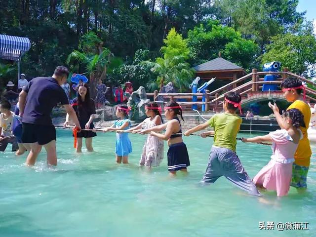 八月，于旷野中遇见成都蒲江~