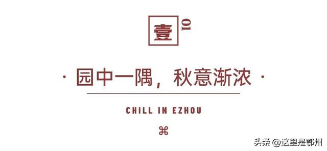 鄂州园博园，一封来自秋天的邀请函