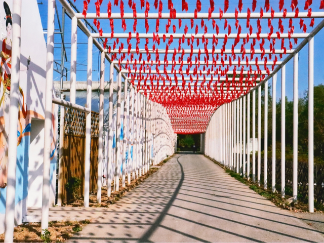 特别出片！潍城这里的“深秋限定”已到货，等你打卡